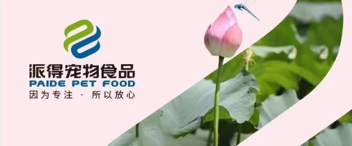 派得宠物